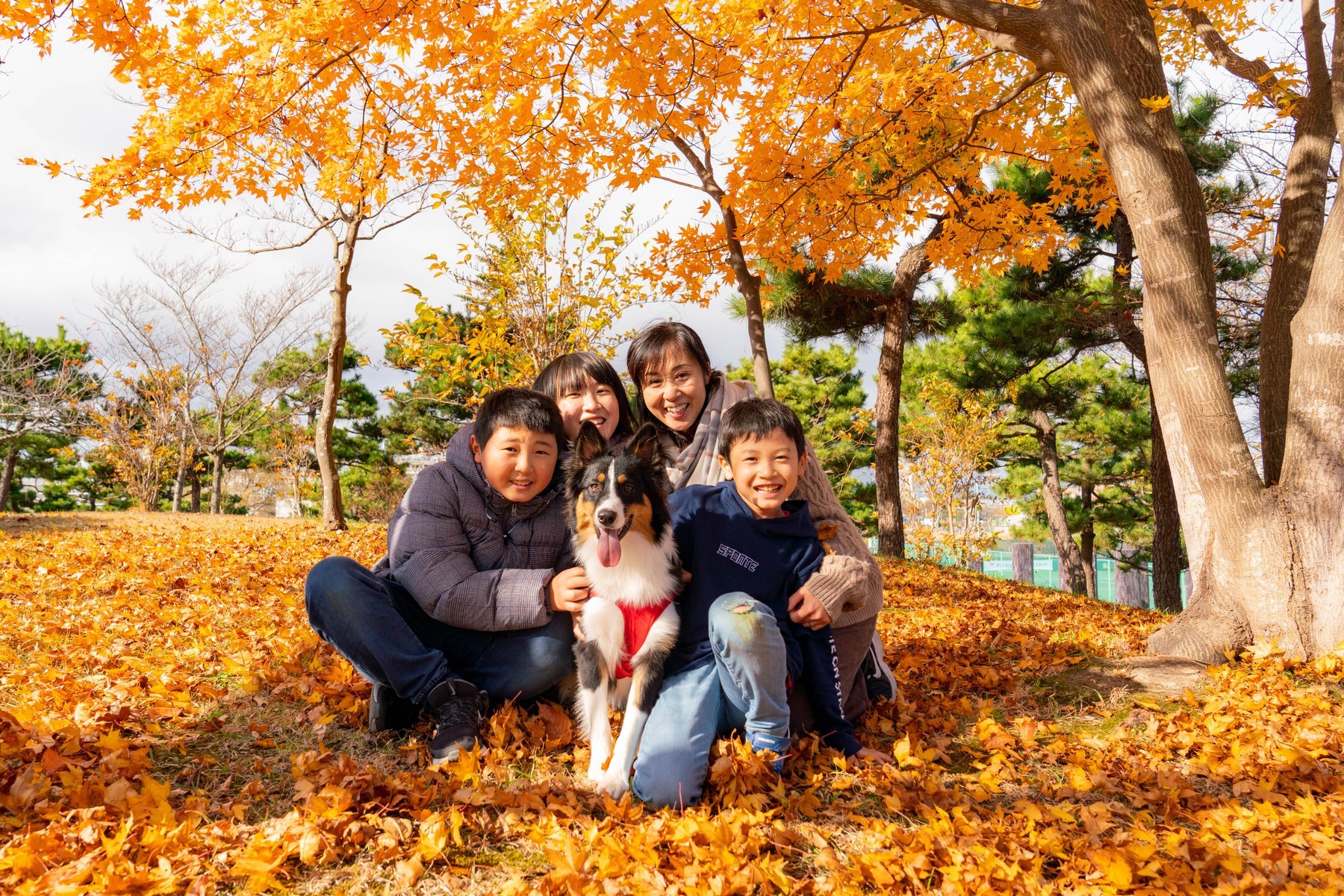 紅葉の中で犬と座る家族