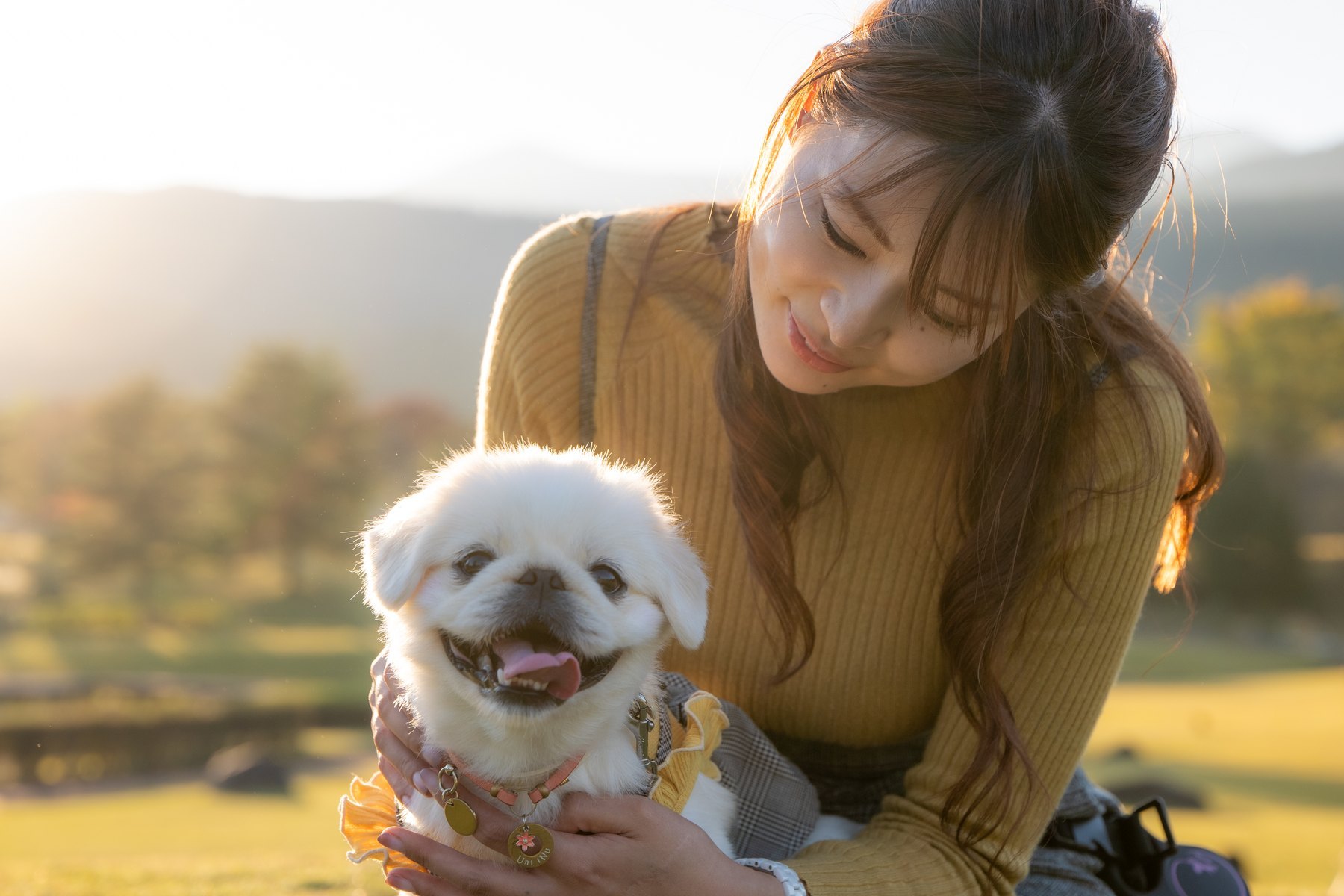 夕方の光の中で愛犬に寄り添う女性