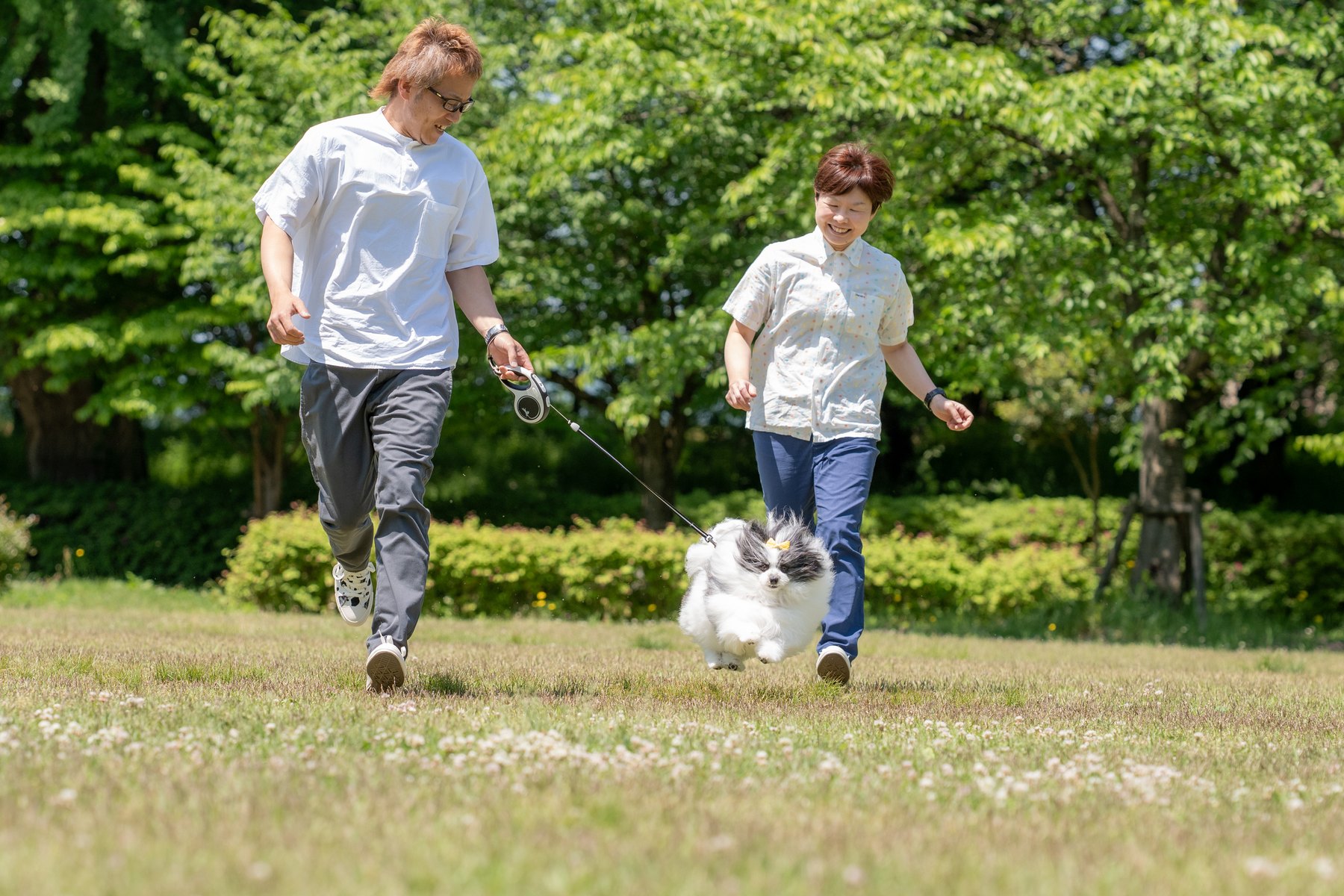芝生を元気に走る愛犬と家族