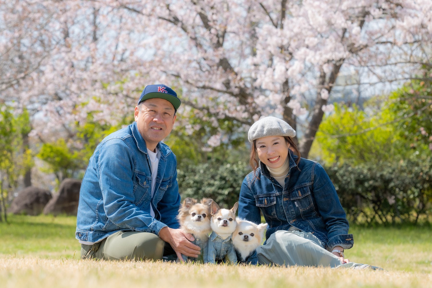 満開の桜の前で小型犬と一緒に座る家族